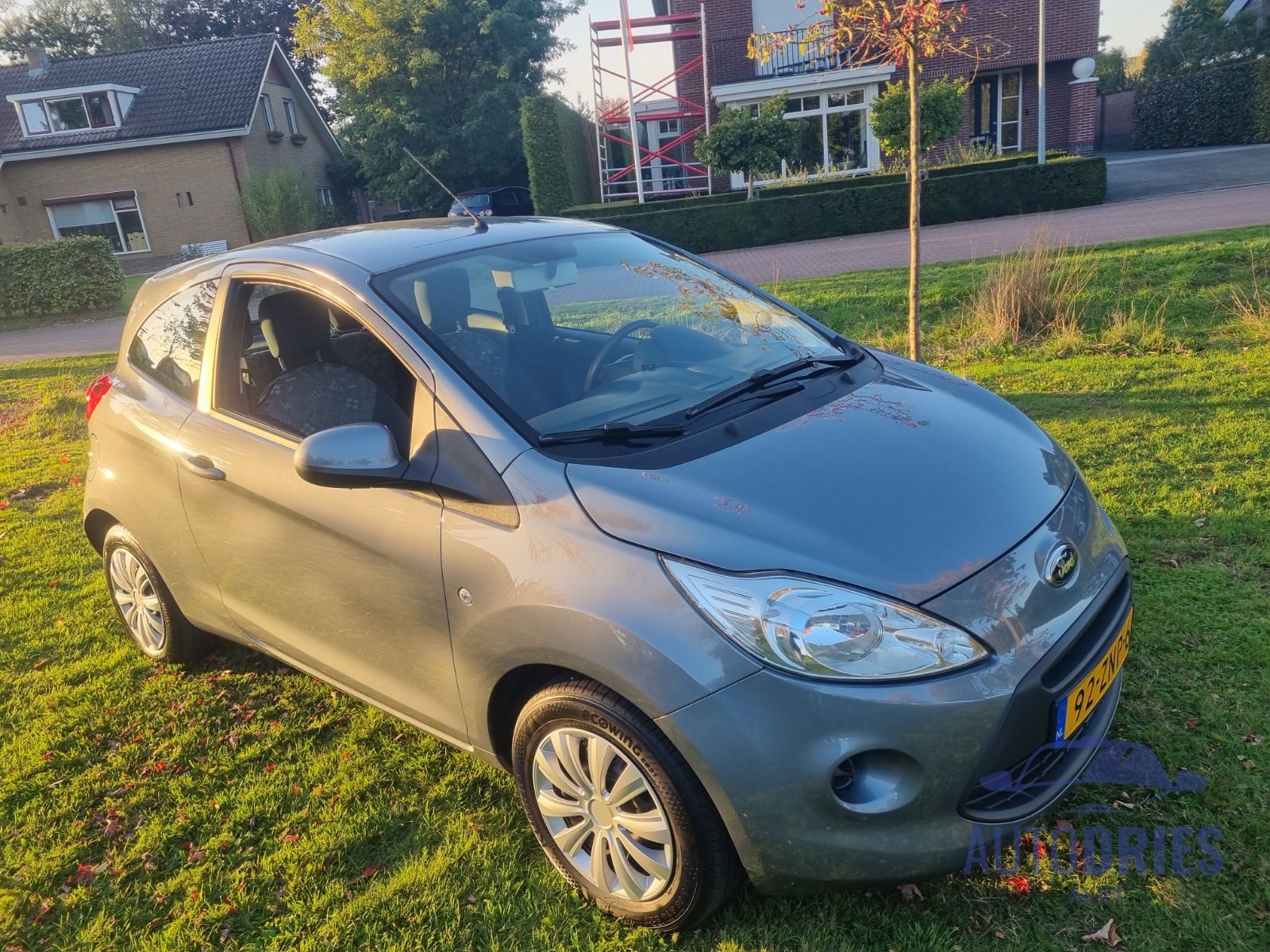 Ford Ka Champignon Edition