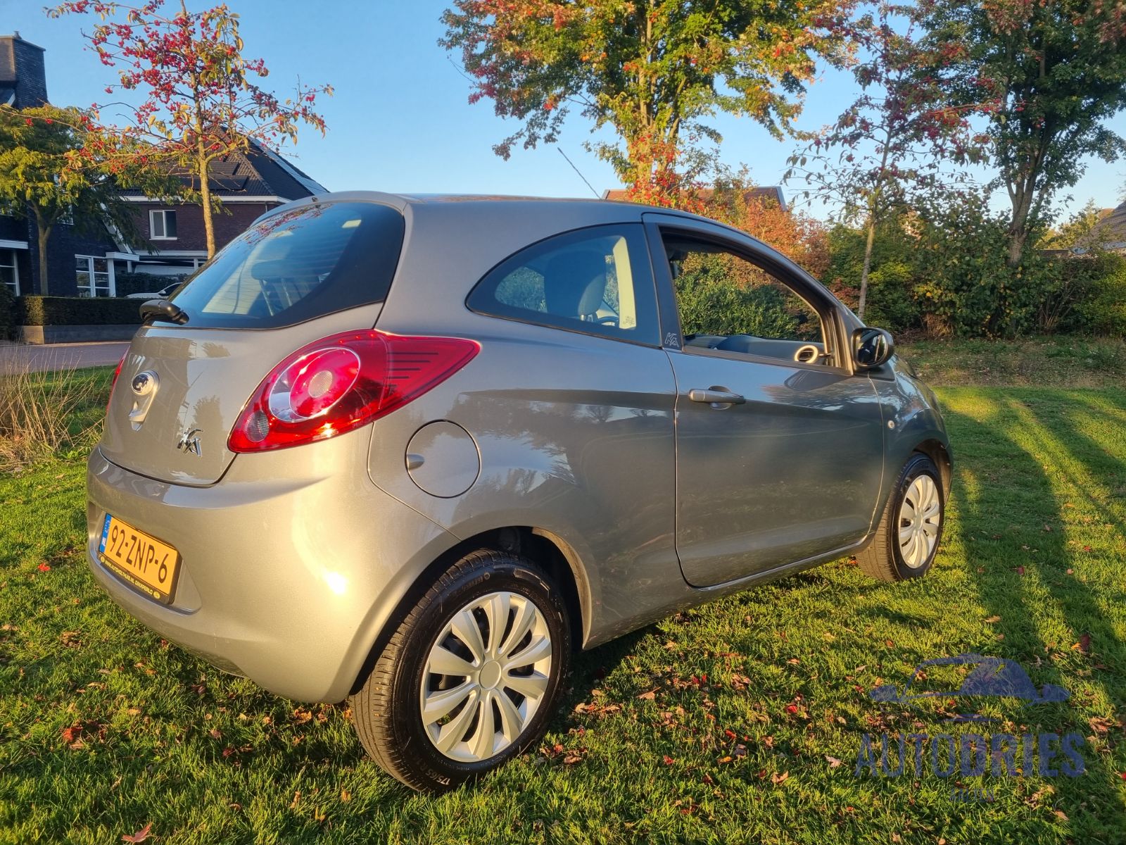 Ford Ka Champignon Edition
