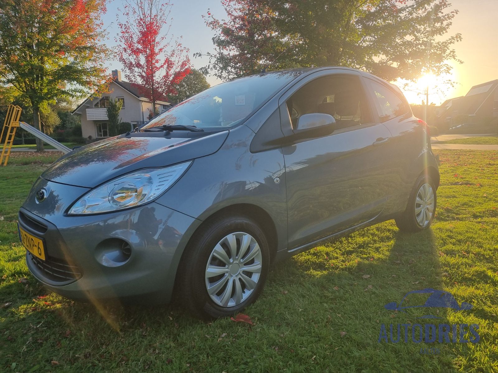 Ford Ka Champignon Edition
