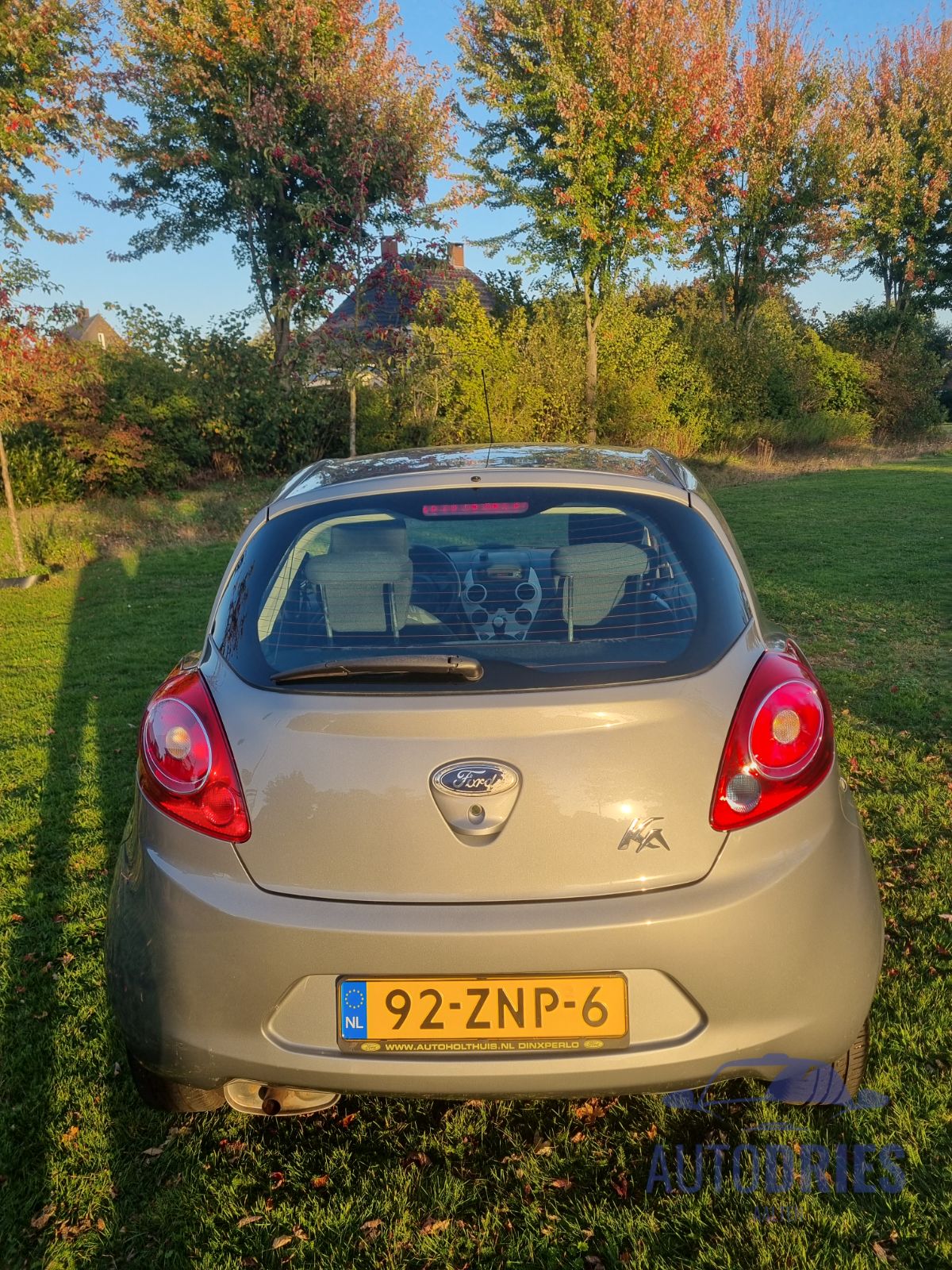 Ford Ka Champignon Edition